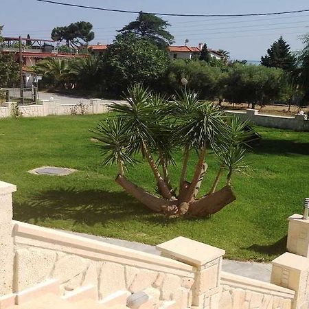 Paradisos Apartments Nea Skioni Zewnętrze zdjęcie